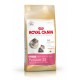 ROYAL CANIN KITTEN PERSIAN